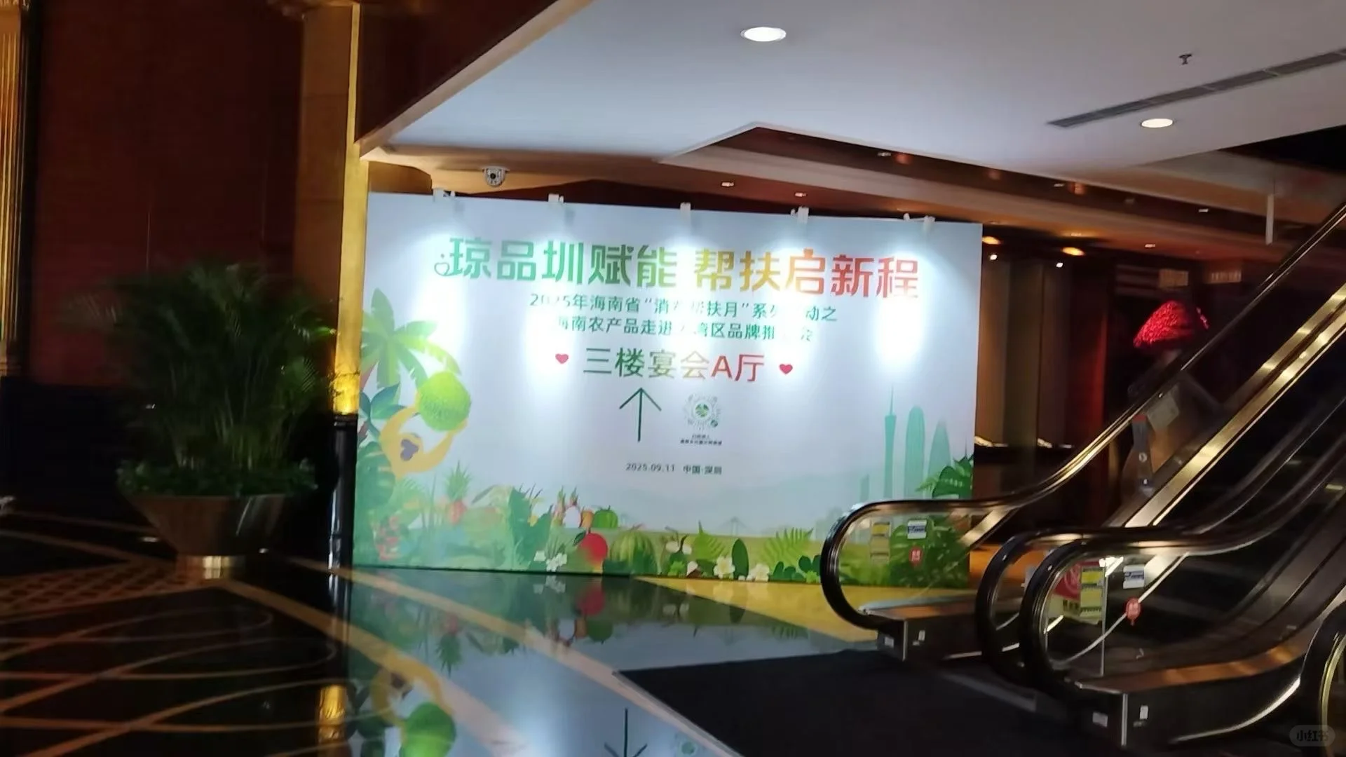 大湾区品牌推介会 落地