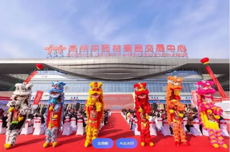 2025亳州药交会