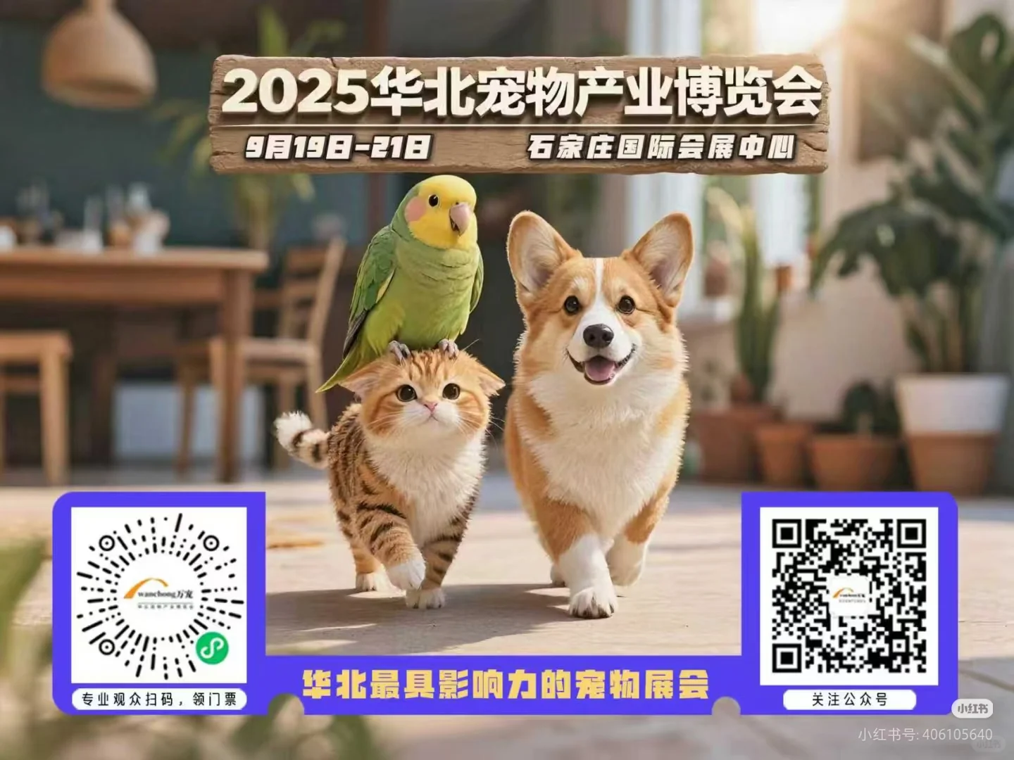 石家庄宠物展！！！