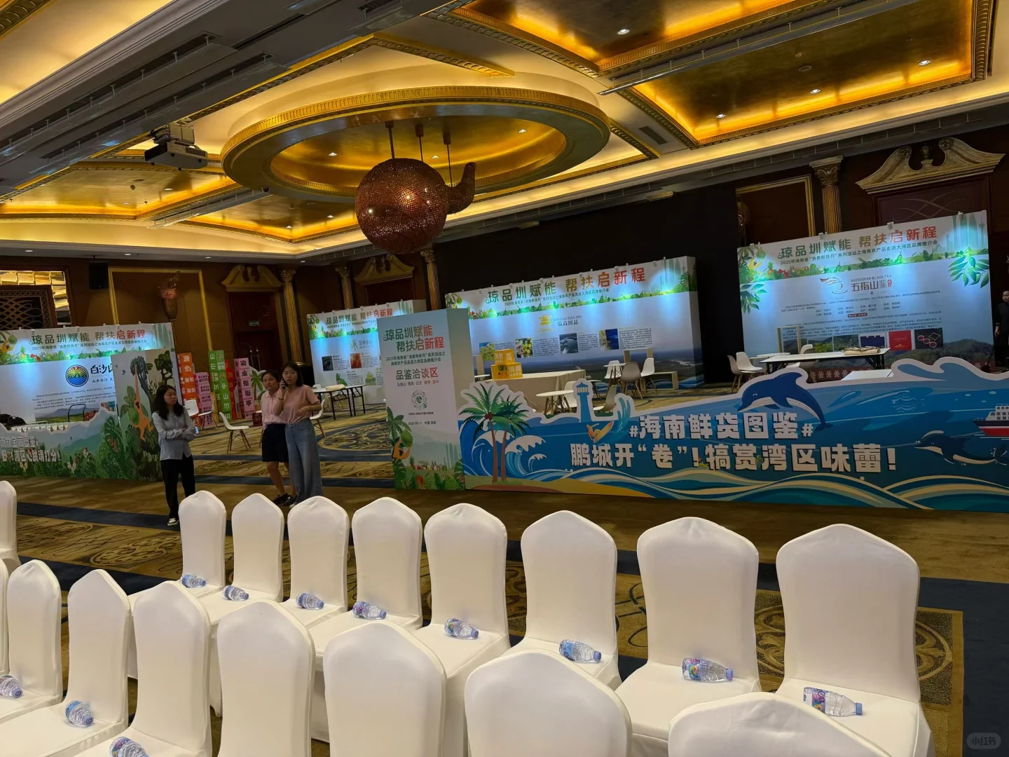 大湾区品牌推介会 落地