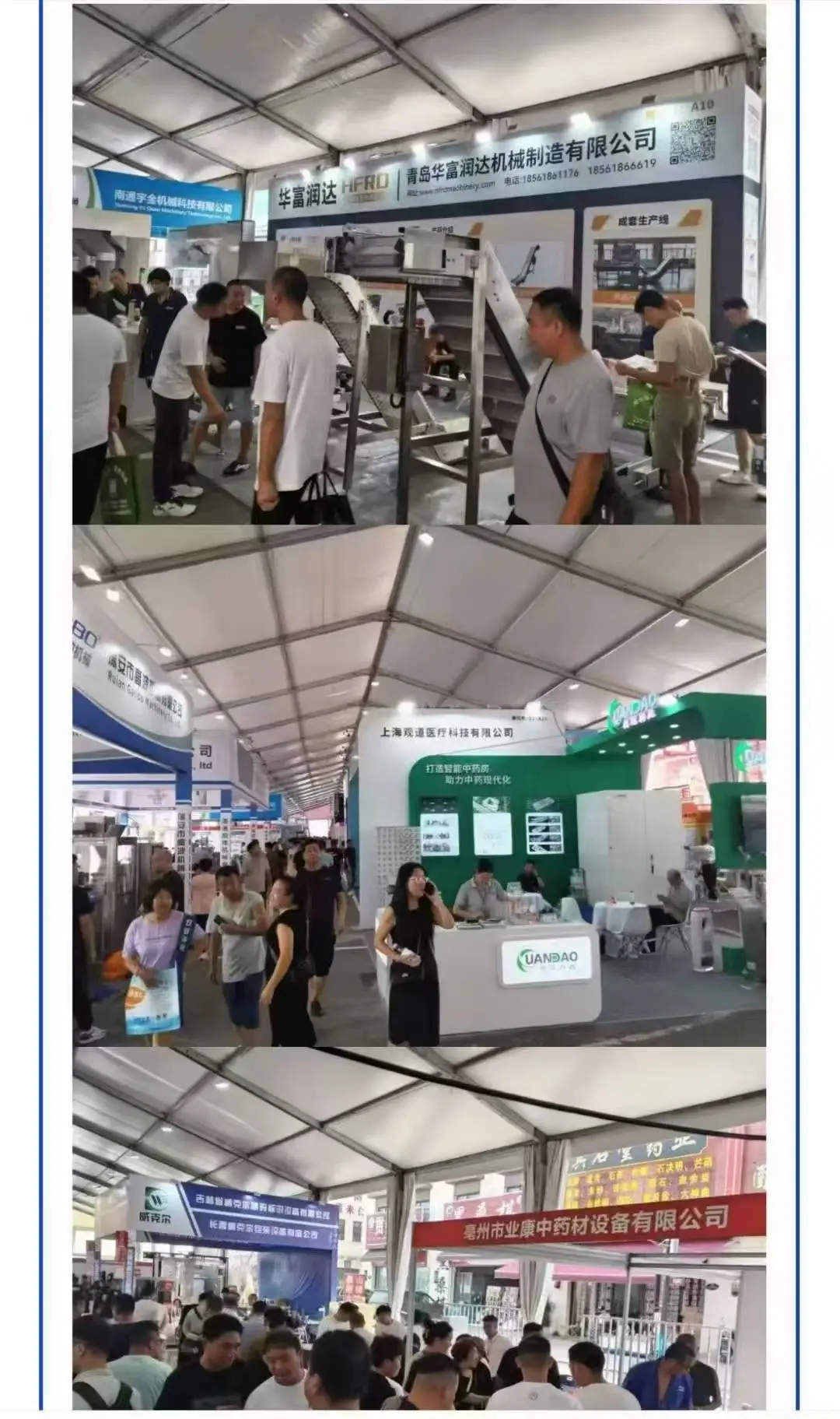2025亳州药交会