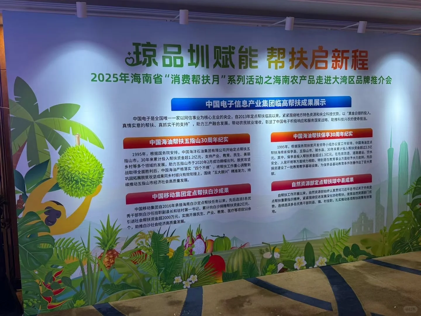 大湾区品牌推介会 落地