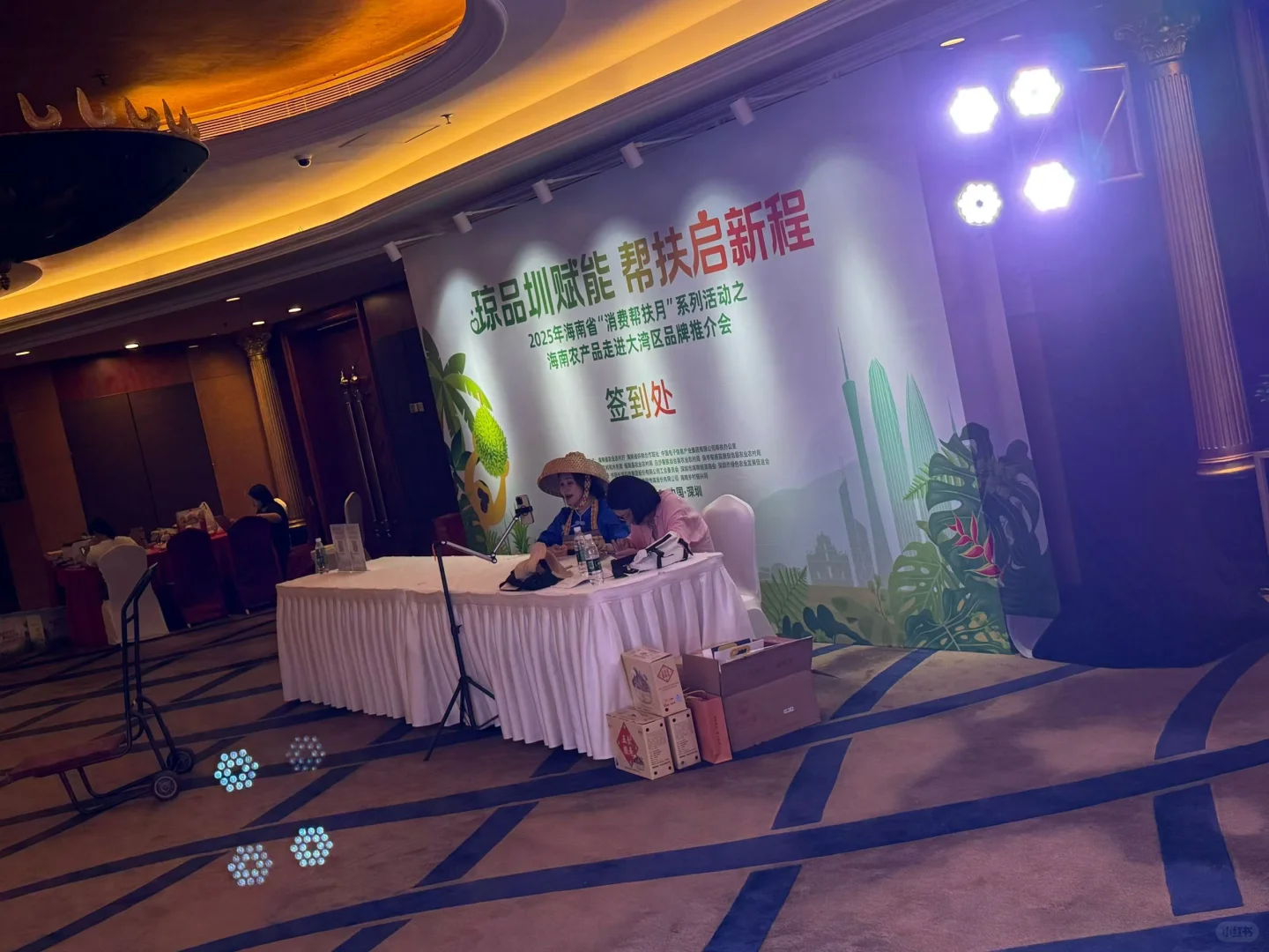大湾区品牌推介会 落地