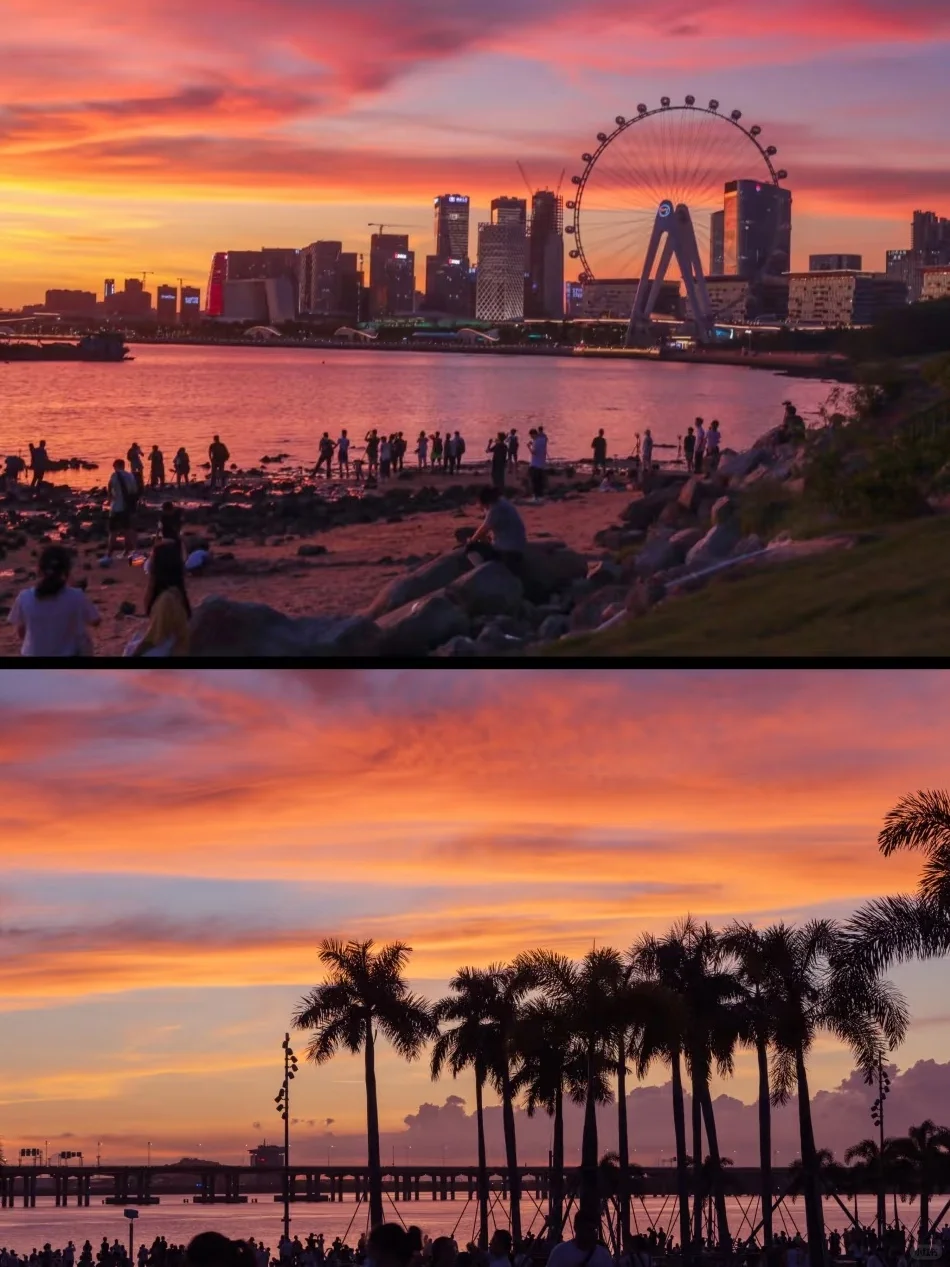 失业后，才发现深圳这么多活动