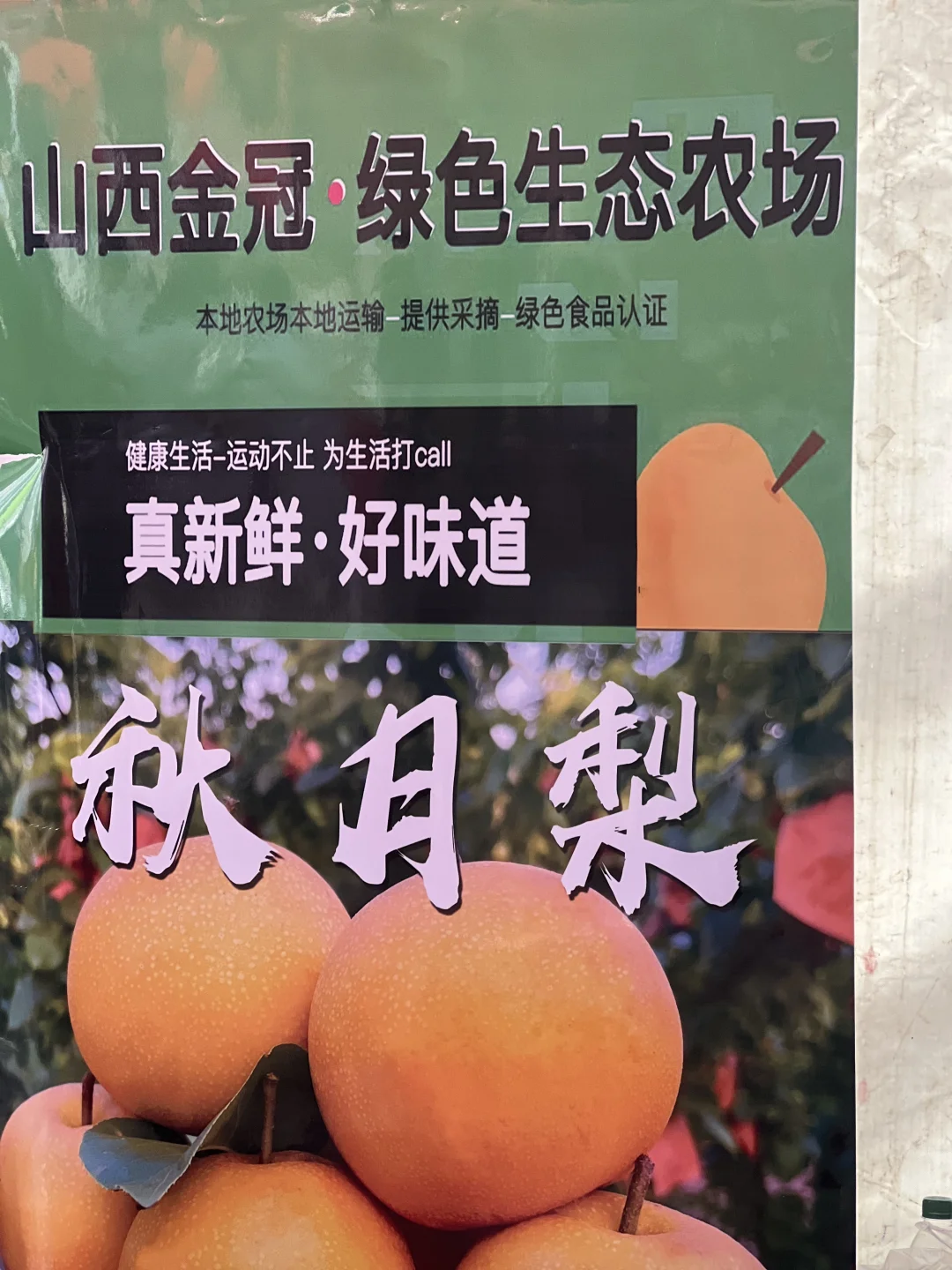 逛农博会