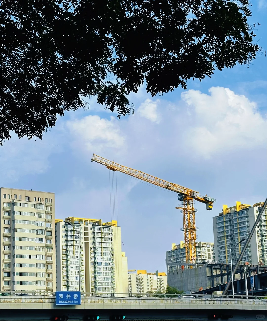 北京茶叶及茶艺博览会