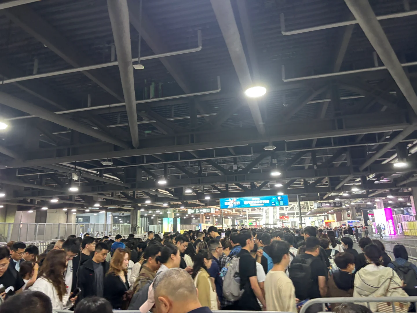 上海它博会真的好火热