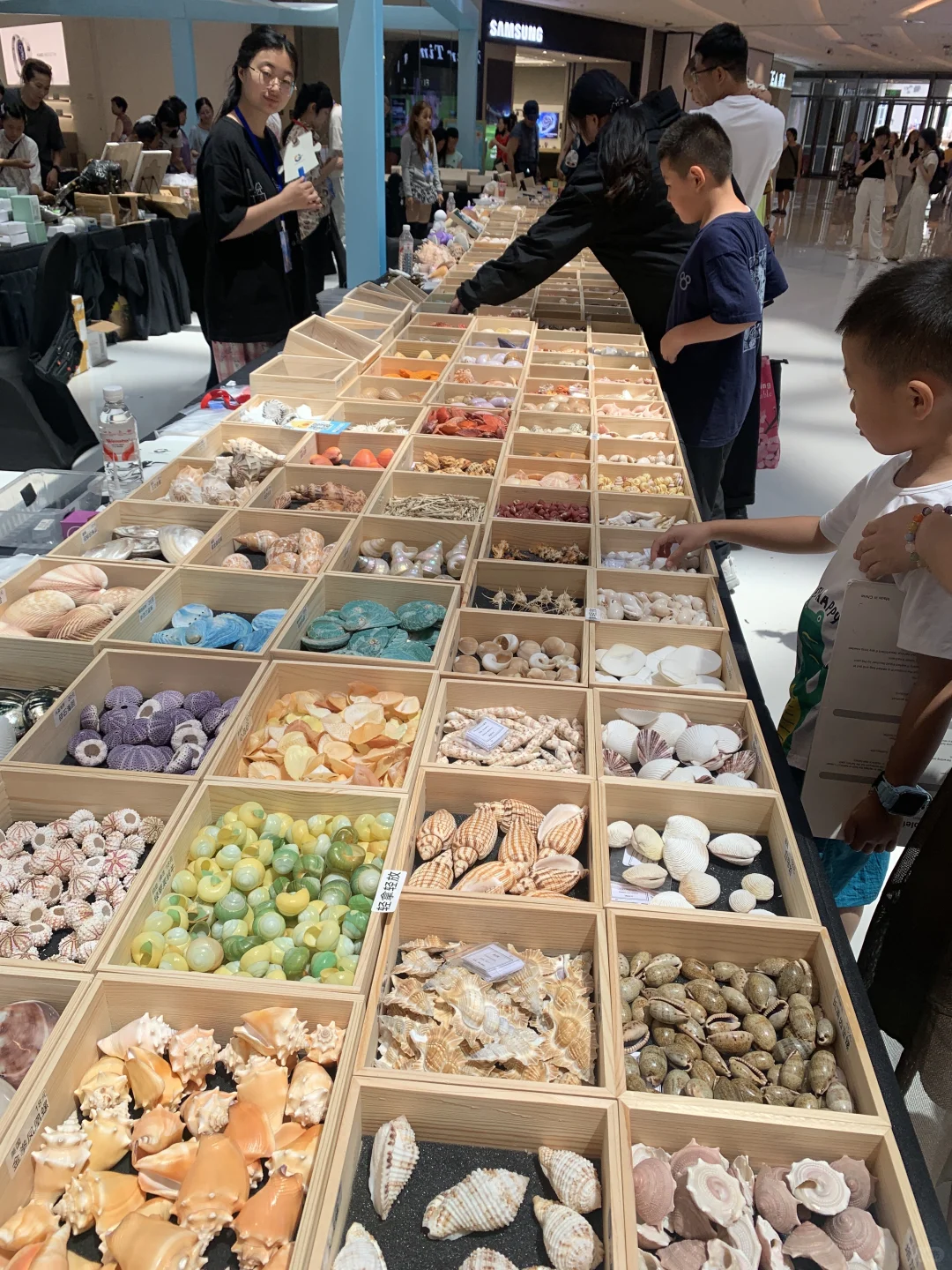 苏州贝壳展，攻略来了