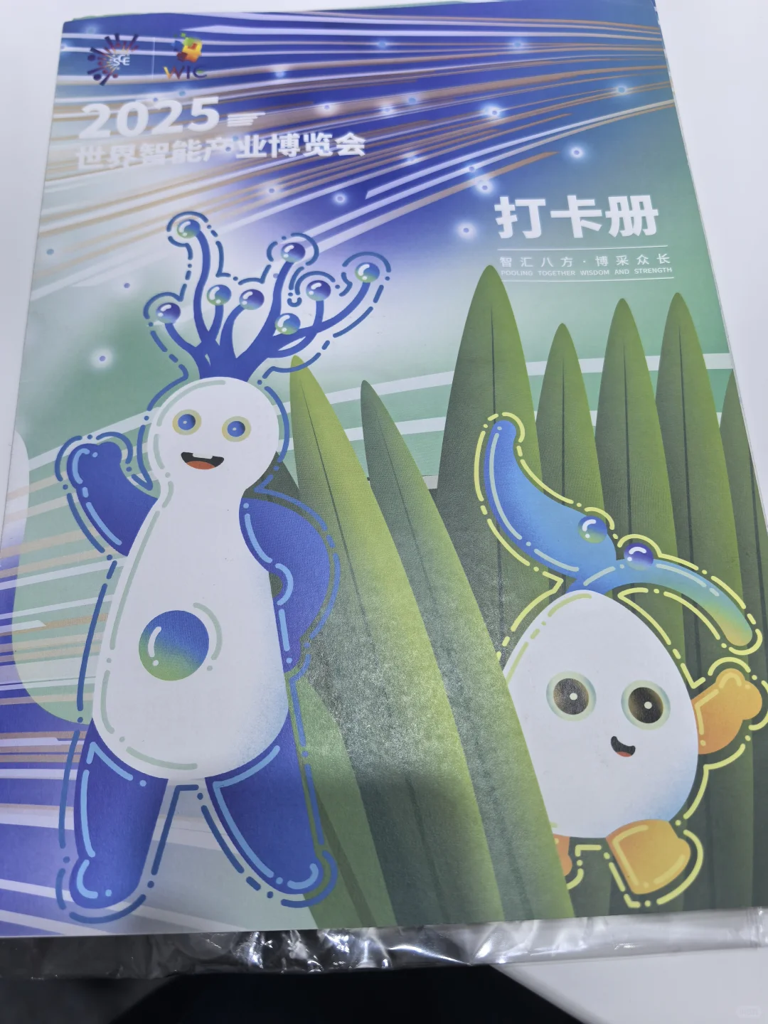 来展会啦！世界智能产业大会