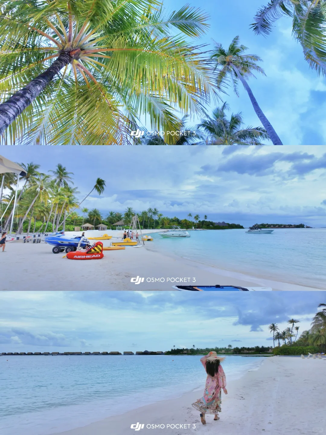 p3和海岛?️的适配度满分?