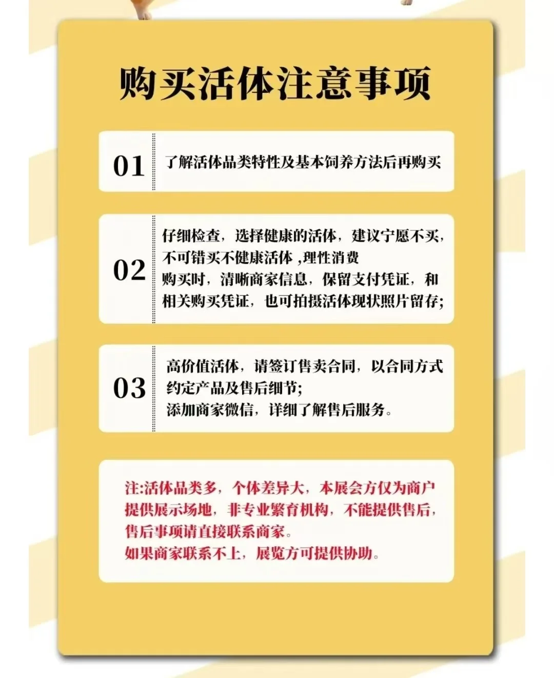 万宠展览