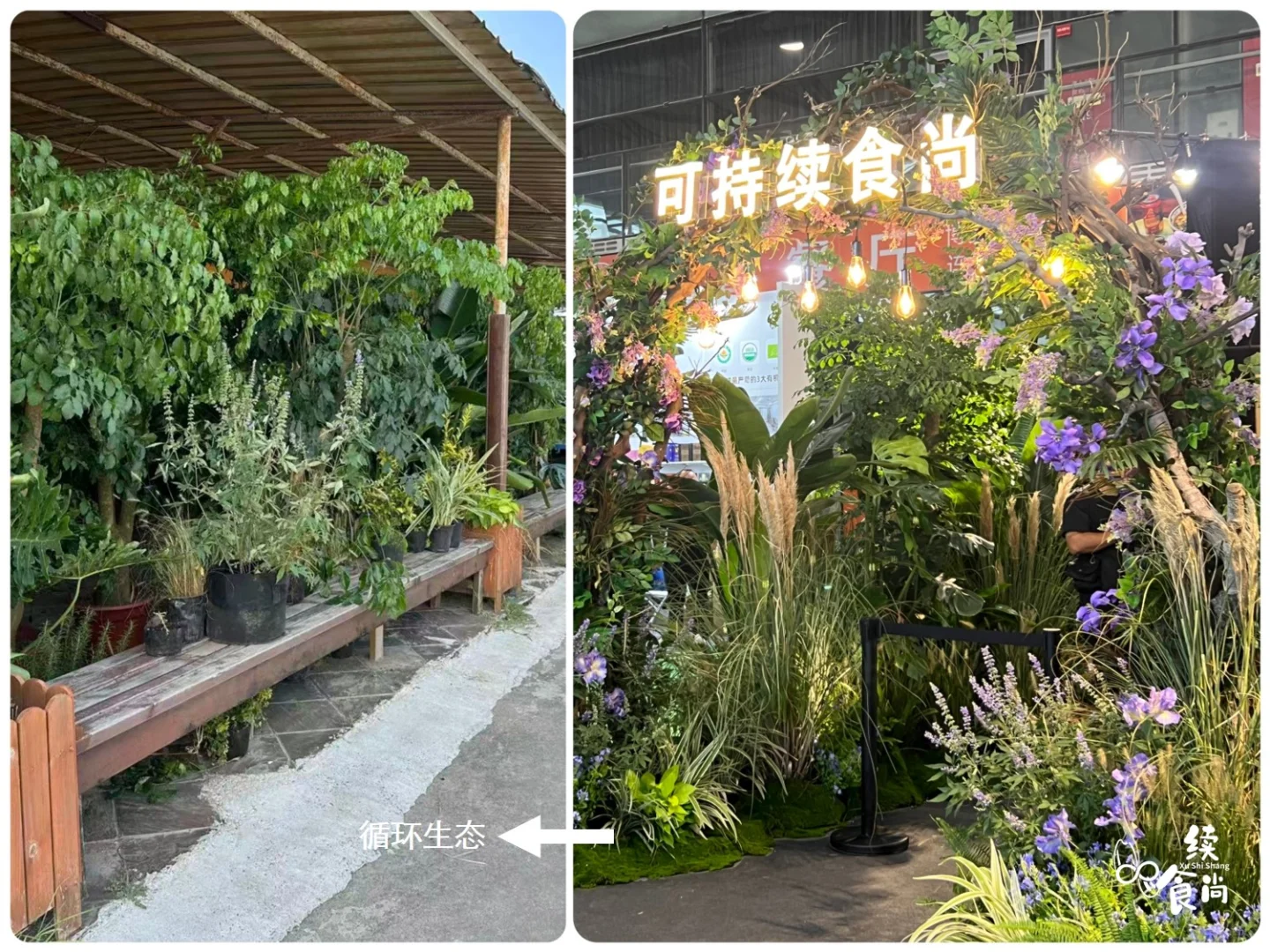 绿色新商机|可持续食尚主题馆让有机也很潮