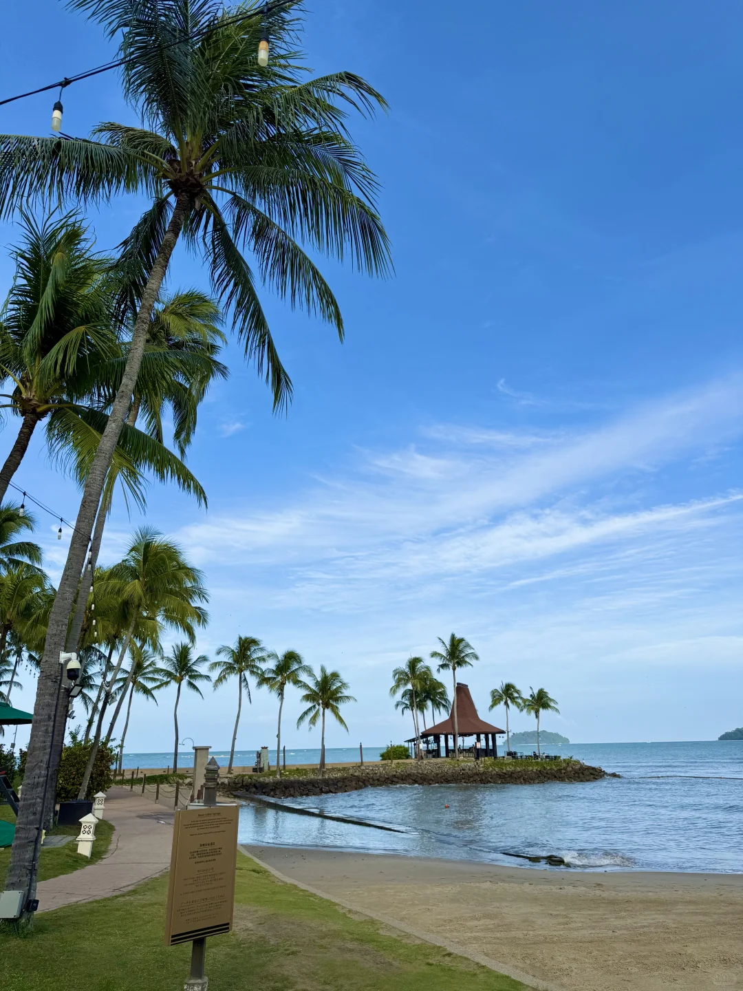 背影绝了 太出live了?