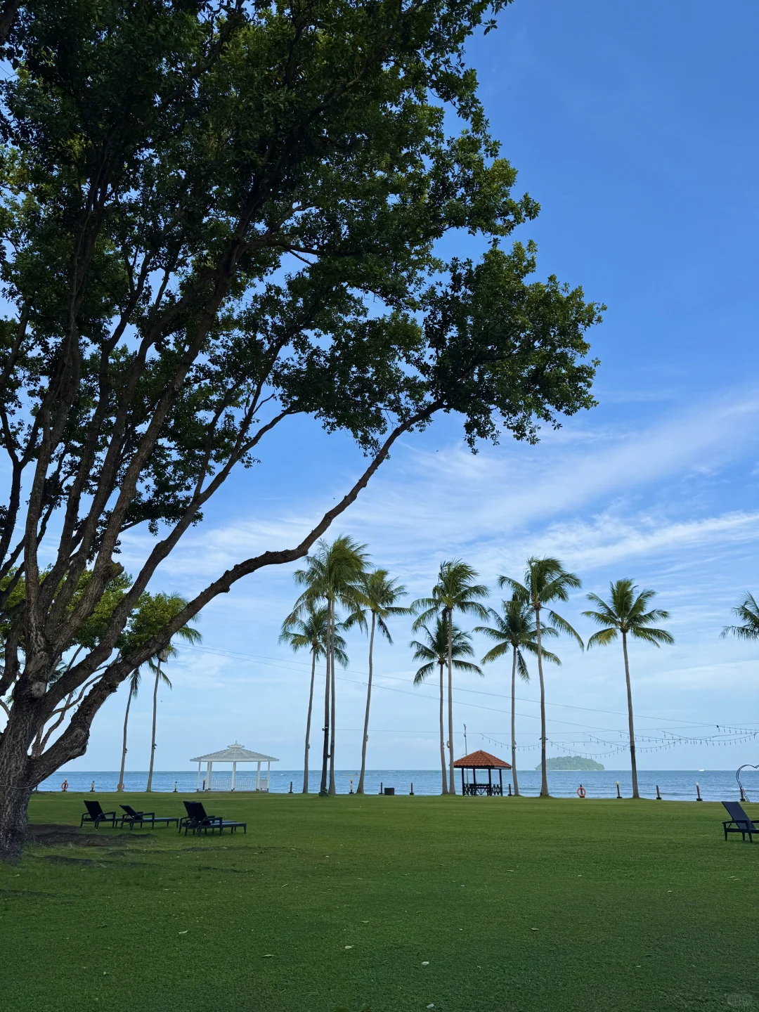 背影绝了 太出live了?