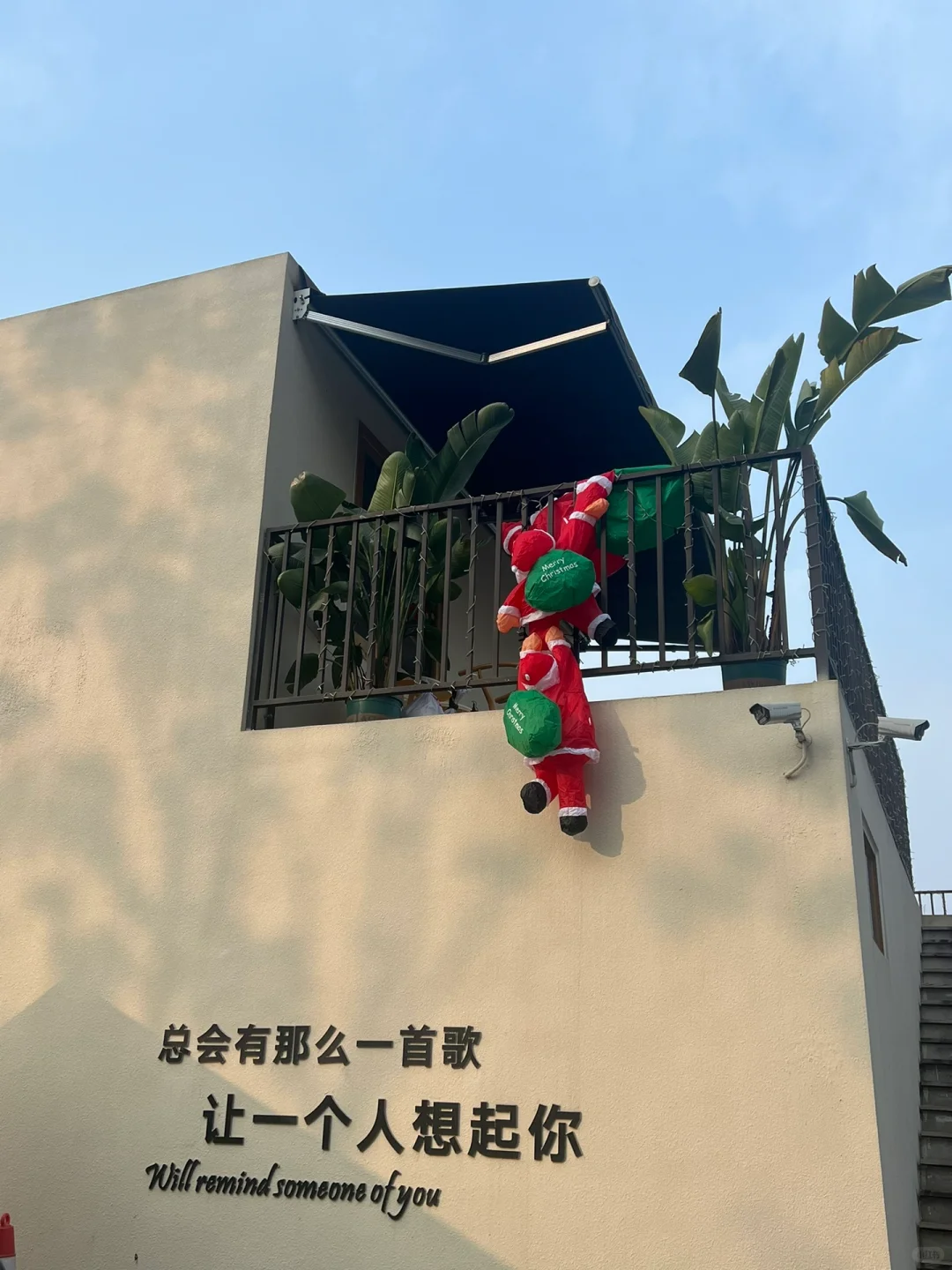 视高柴桑河美食展销会