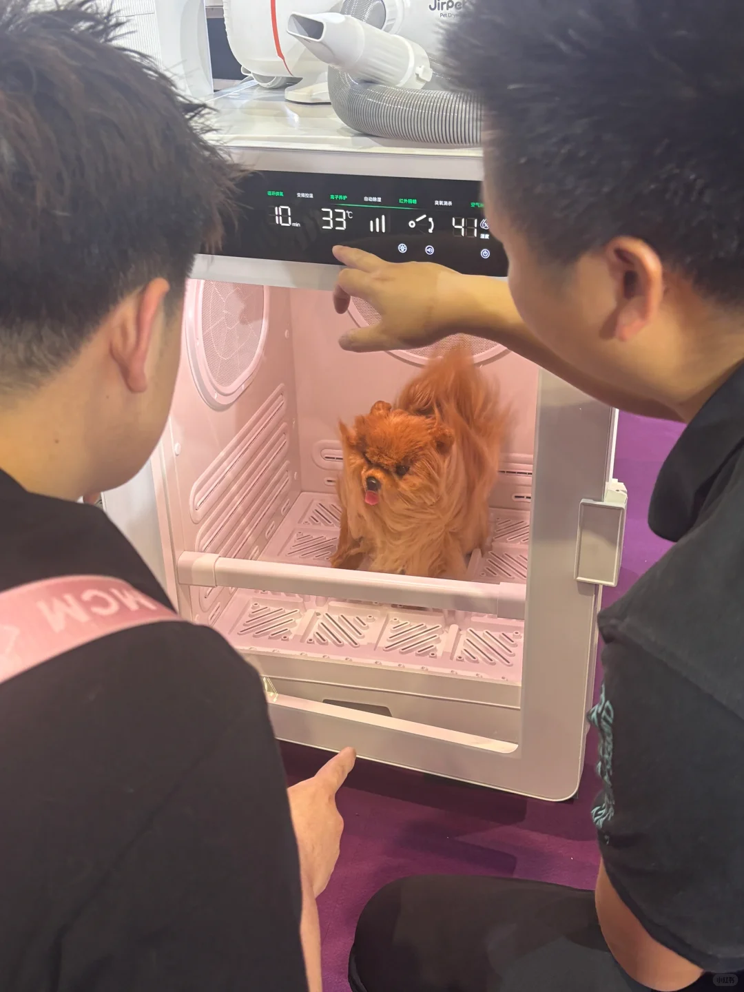 上海它博会真的好火热