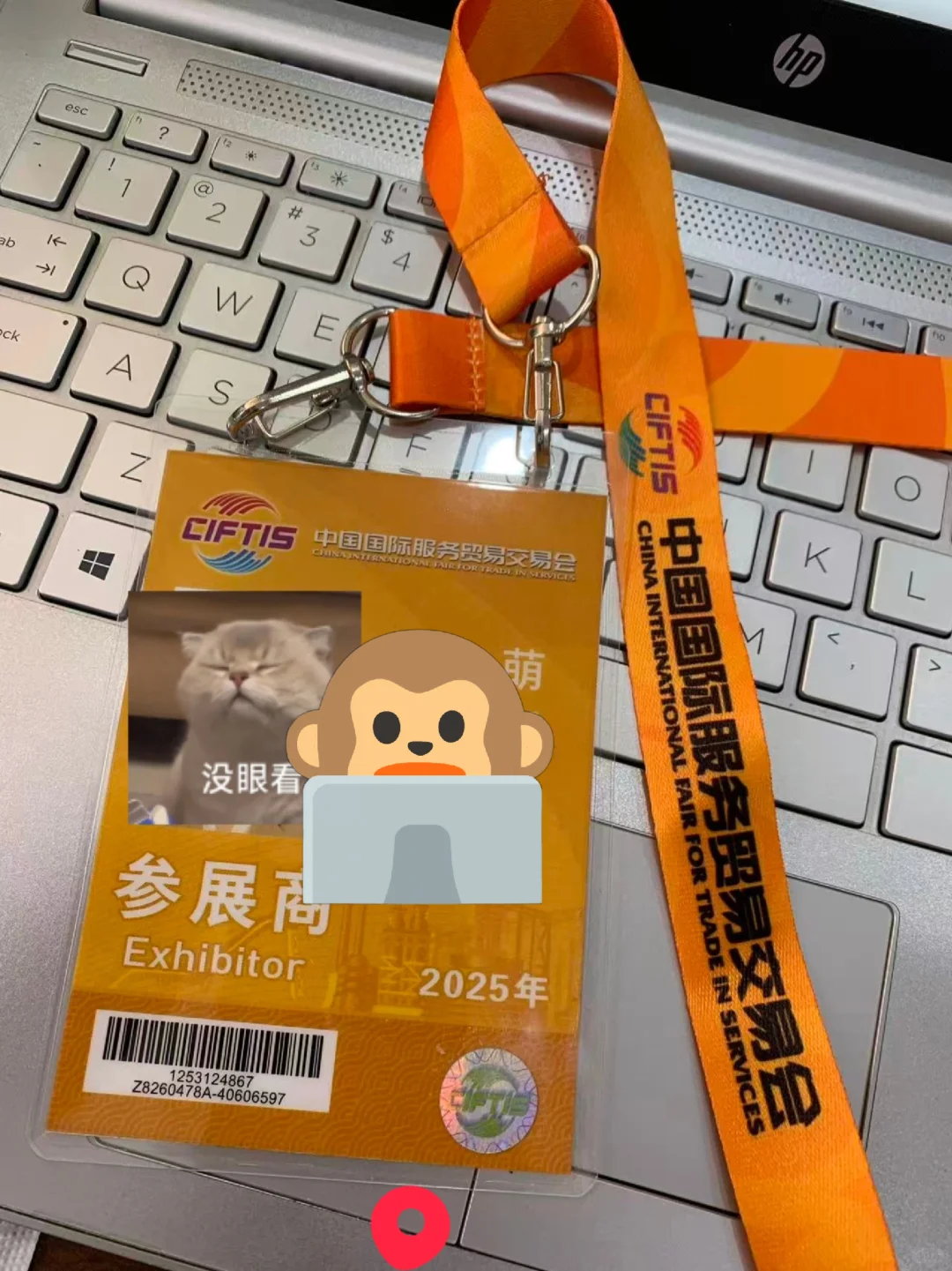 2025年服贸会