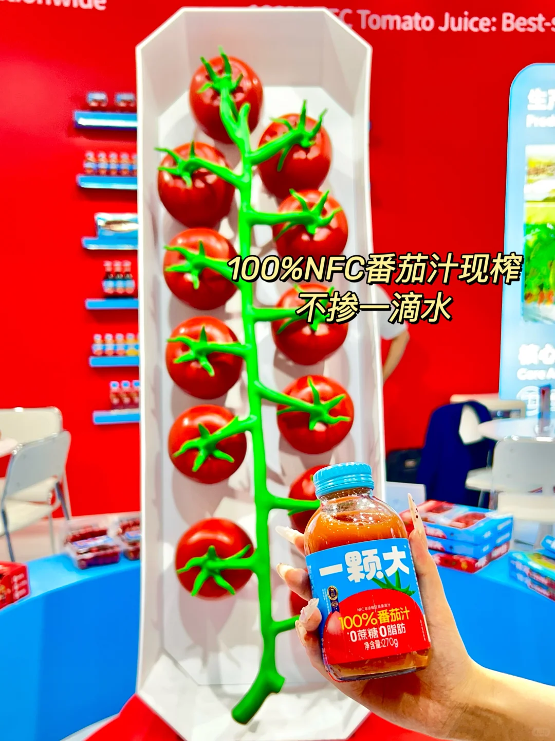 惊现巨无霸番茄?直接被硬控啦…！！！