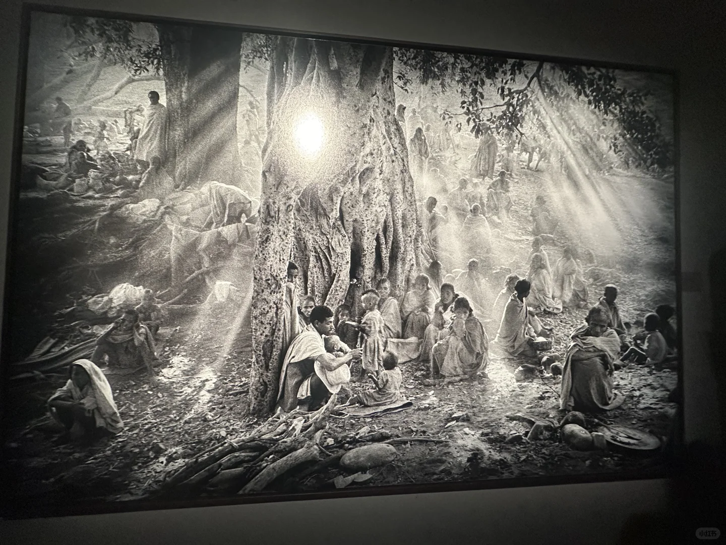 没人告诉过我纪实摄影展会这么震撼啊！