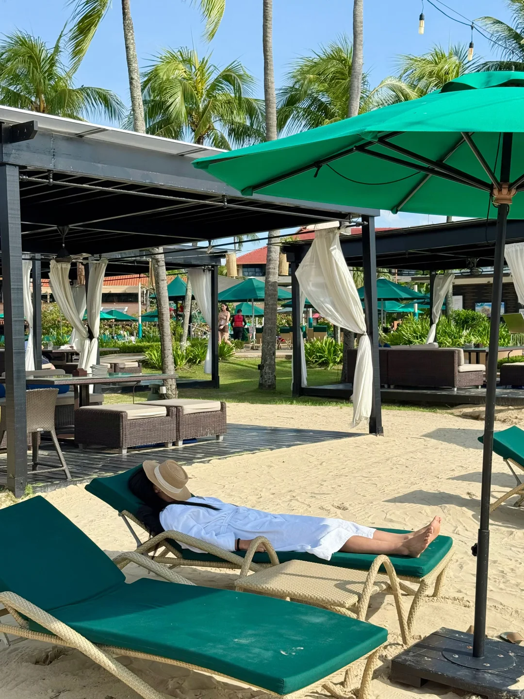 背影绝了 太出live了?