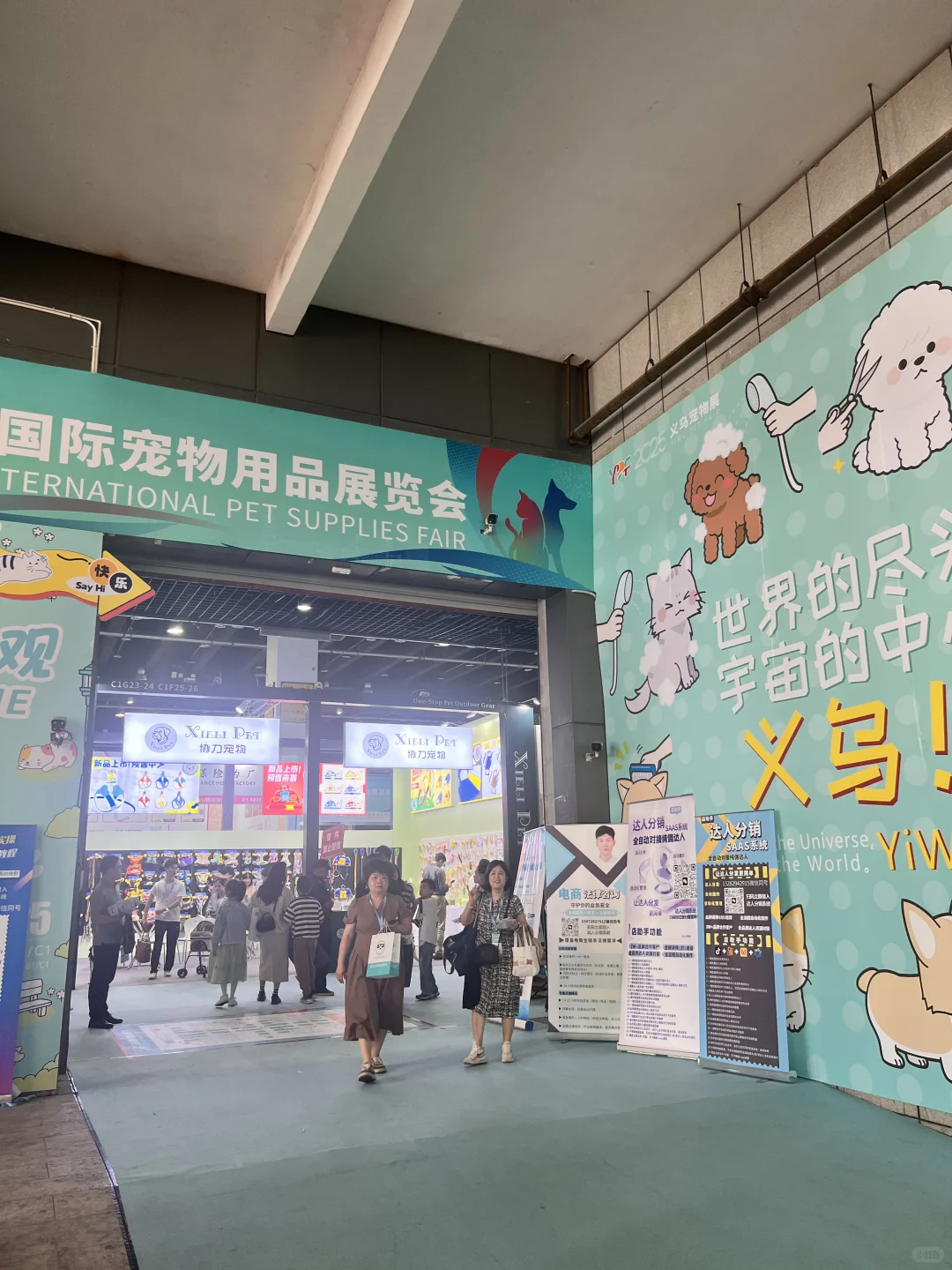 展上遇到的小猫咪们～