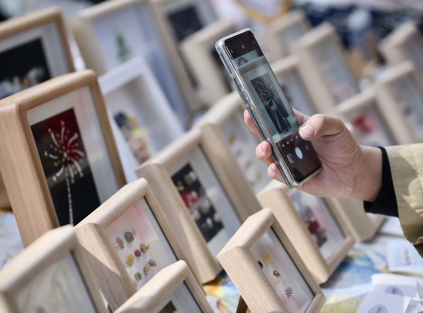 苏州贝壳展，攻略来了