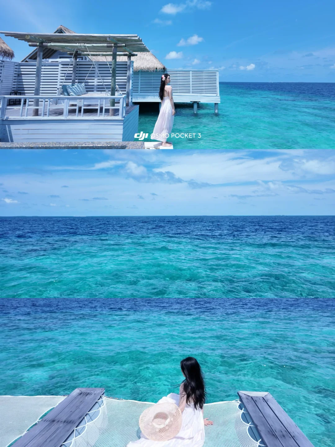 p3和海岛?️的适配度满分?