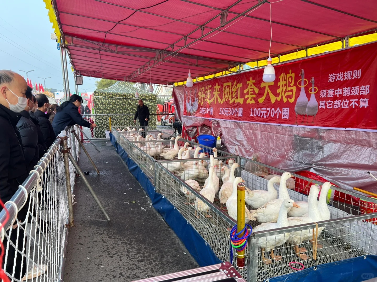 视高柴桑河美食展销会