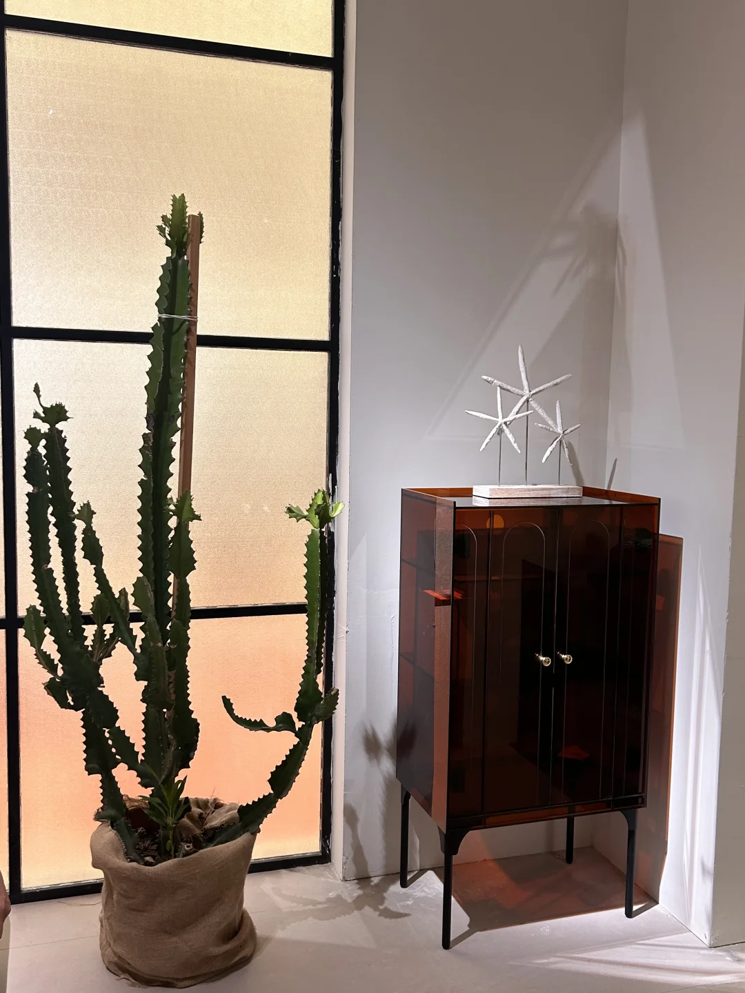 2025｜第三十届中国国际家具展览会