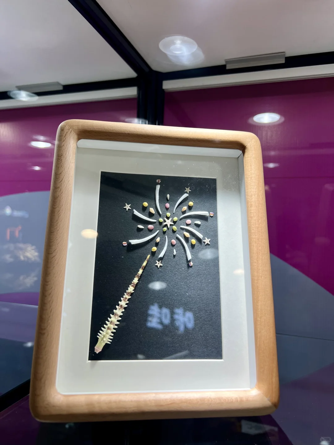苏州贝壳展，攻略来了