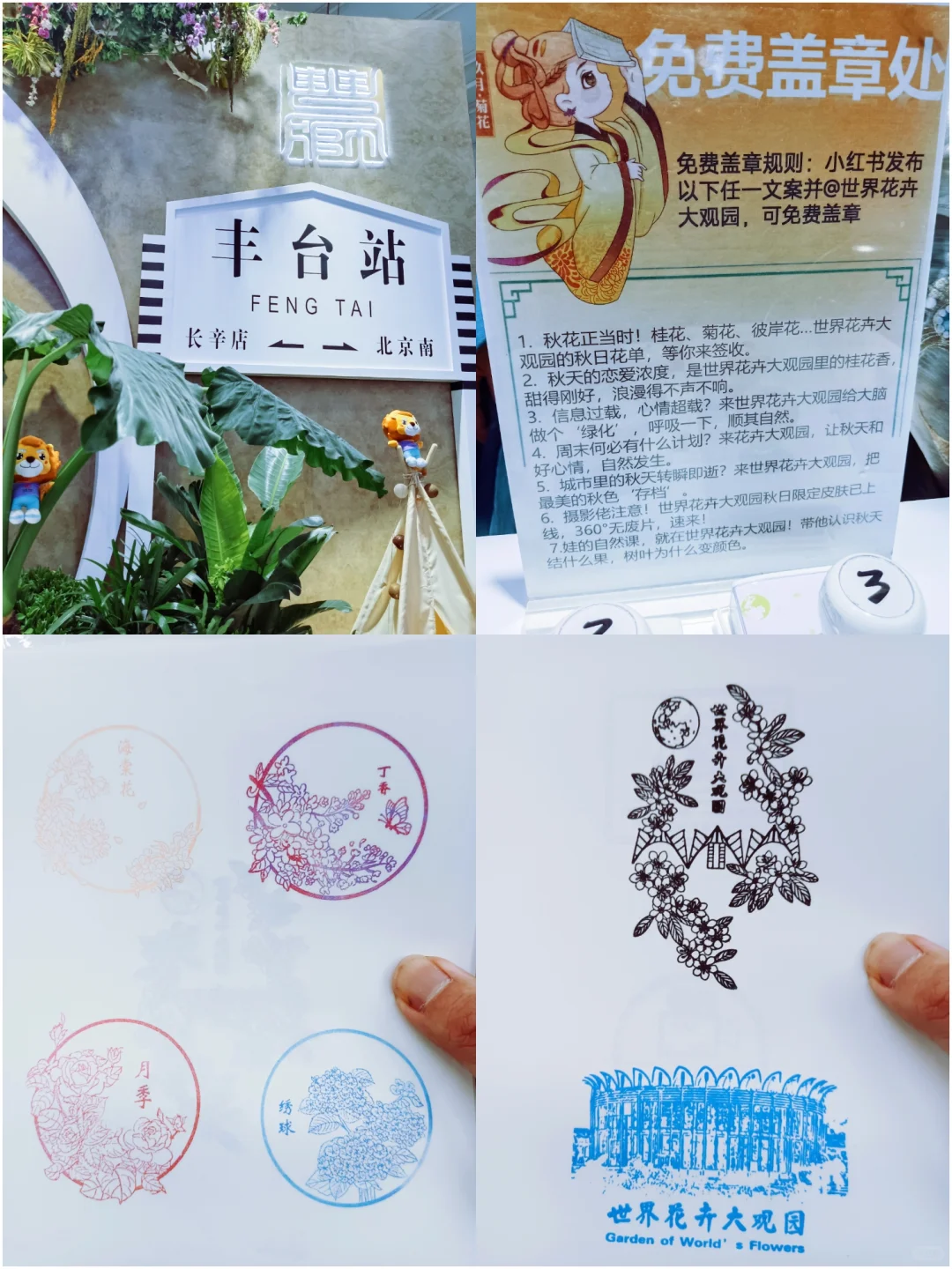 【?盖章记】2025中国国际服务贸易交易会