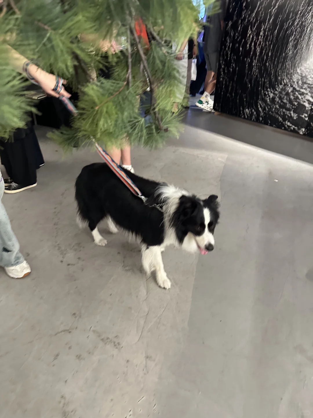 没人告诉过我纪实摄影展会这么震撼啊！