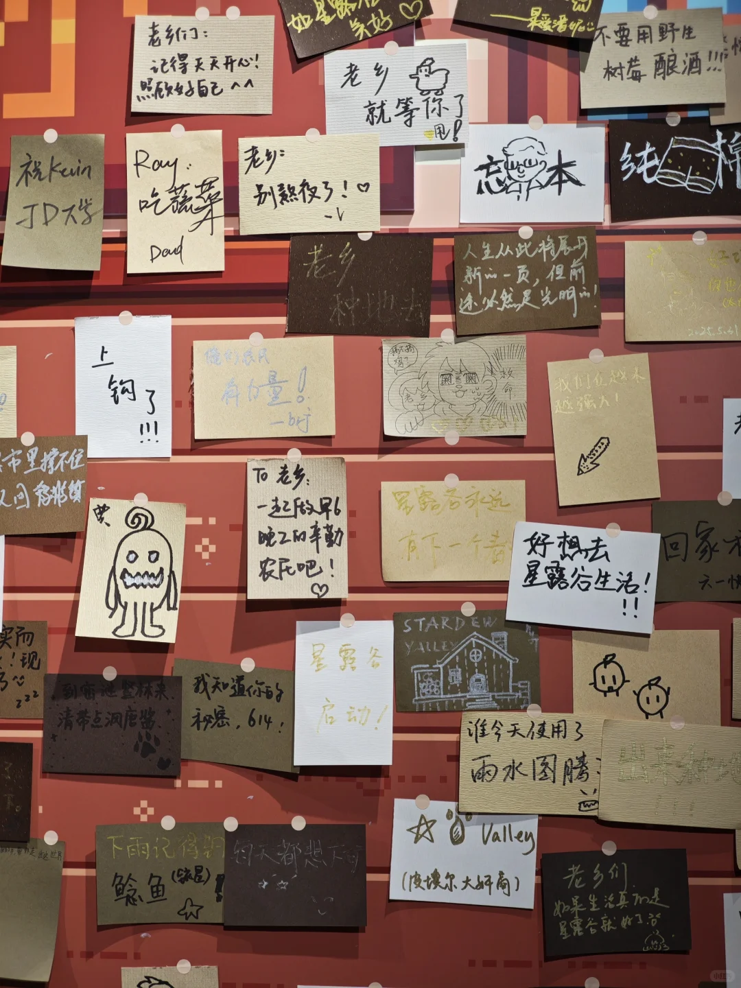 上海的星露谷博物展览会比星O值太多了