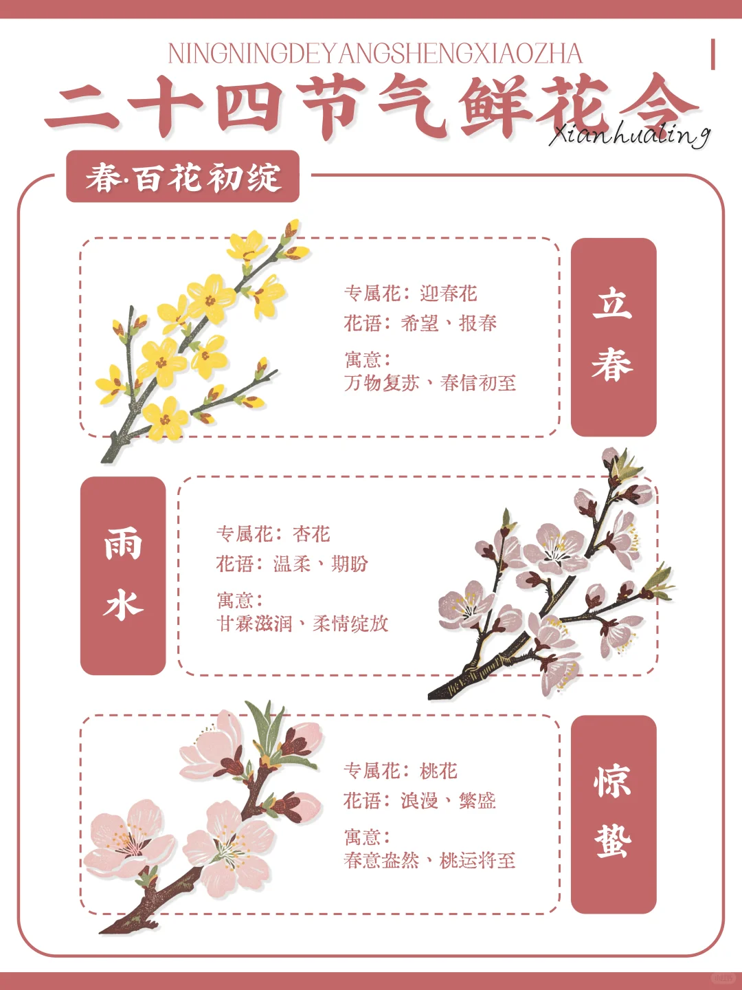 ?古人留给我们的浪漫｜二十四节气鲜花令?