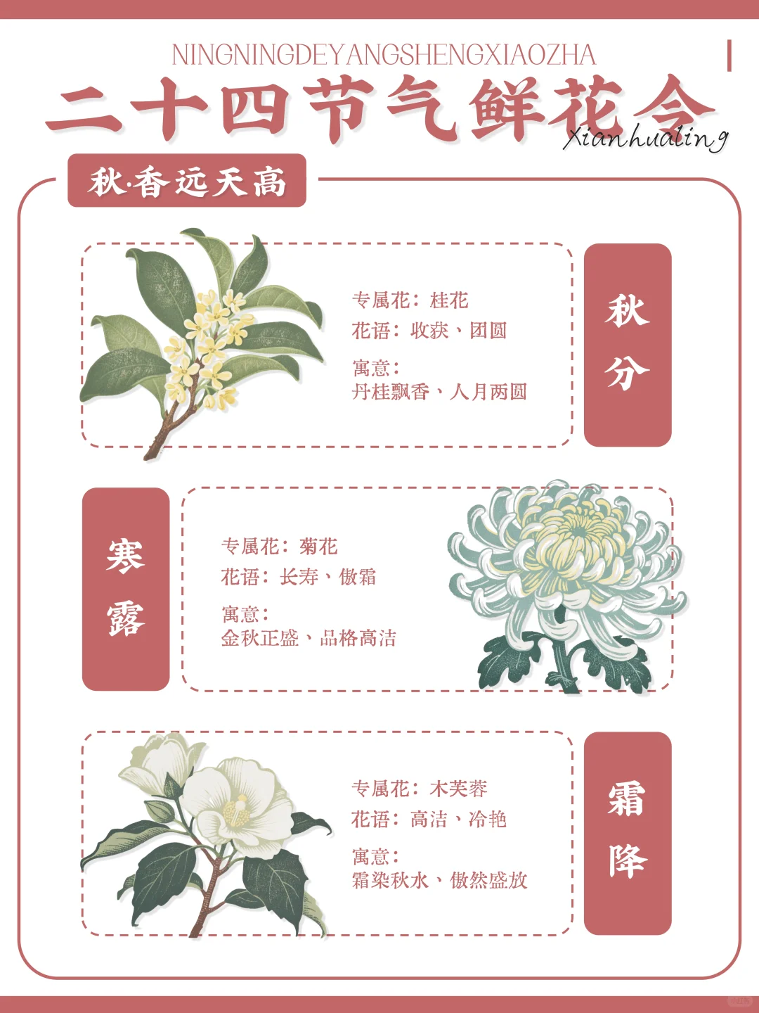 ?古人留给我们的浪漫｜二十四节气鲜花令?