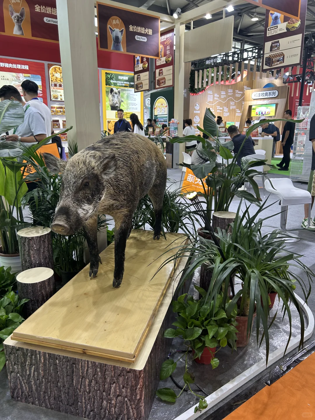 Hi Pet Fair Asia 2025