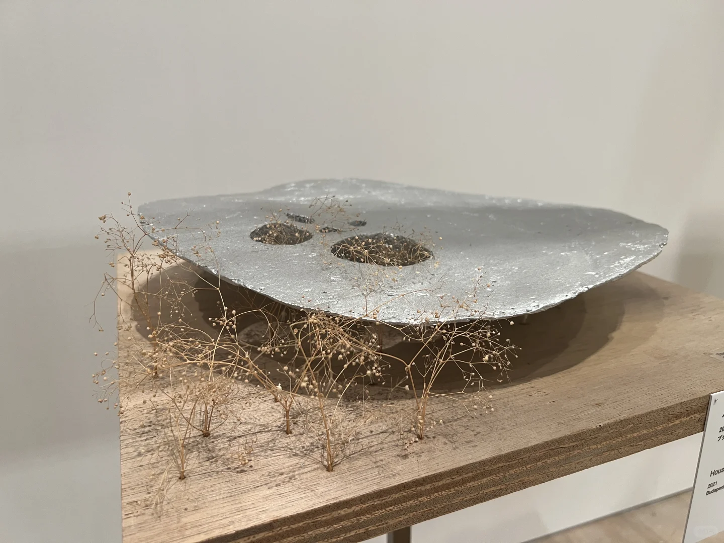 ??东京看展｜藤本壮介の建筑展