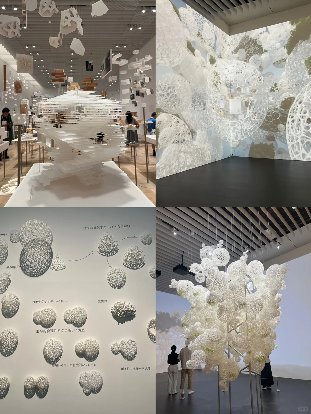 ??东京看展｜藤本壮介の建筑展