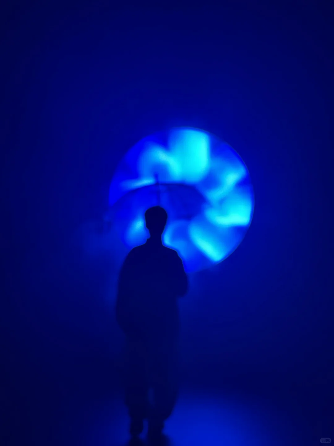 深圳新展·海洋任意门到流动的艺术史诗…