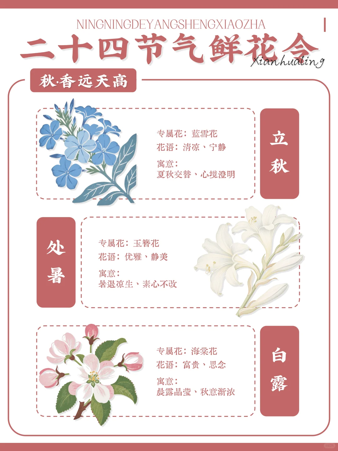 ?古人留给我们的浪漫｜二十四节气鲜花令?