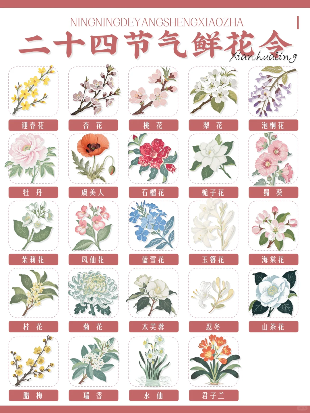 ?古人留给我们的浪漫｜二十四节气鲜花令?