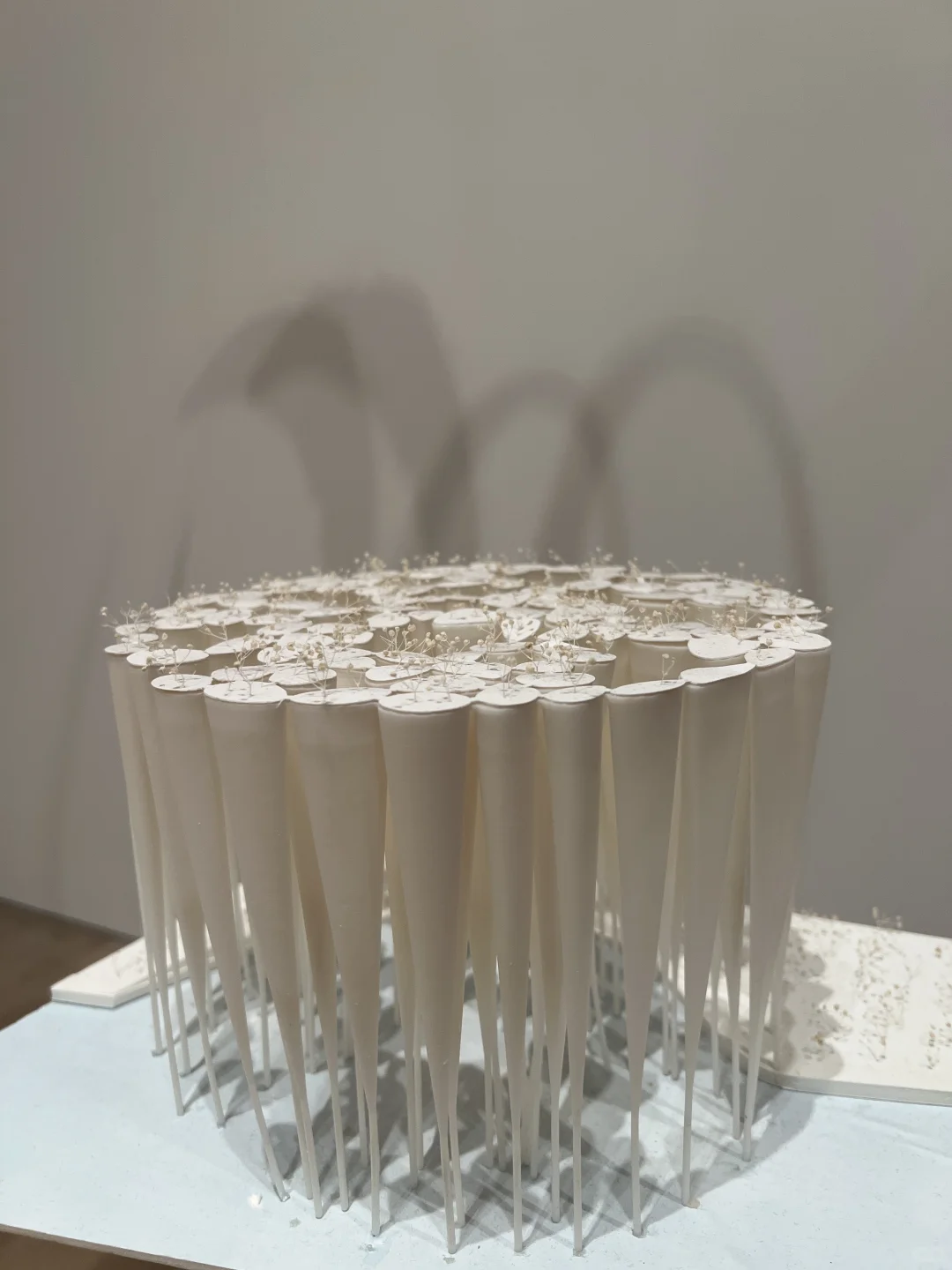 ??东京看展｜藤本壮介の建筑展