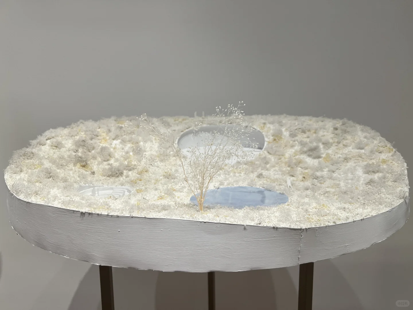 ??东京看展｜藤本壮介の建筑展