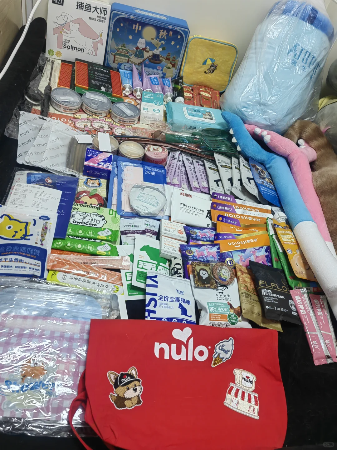 第一次冲亚宠展的真实体验！新手小白有点懵