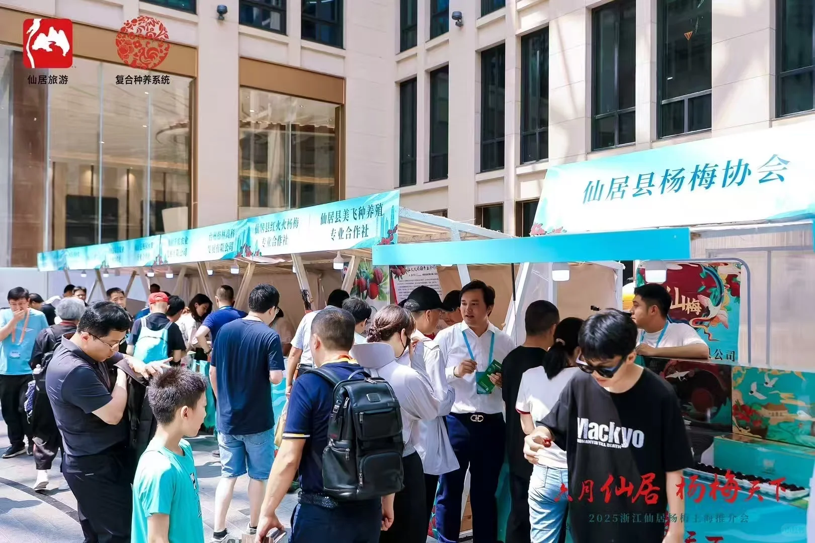 仙居杨梅登录上海推介会