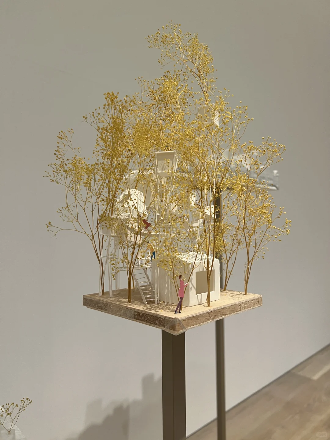 ??东京看展｜藤本壮介の建筑展