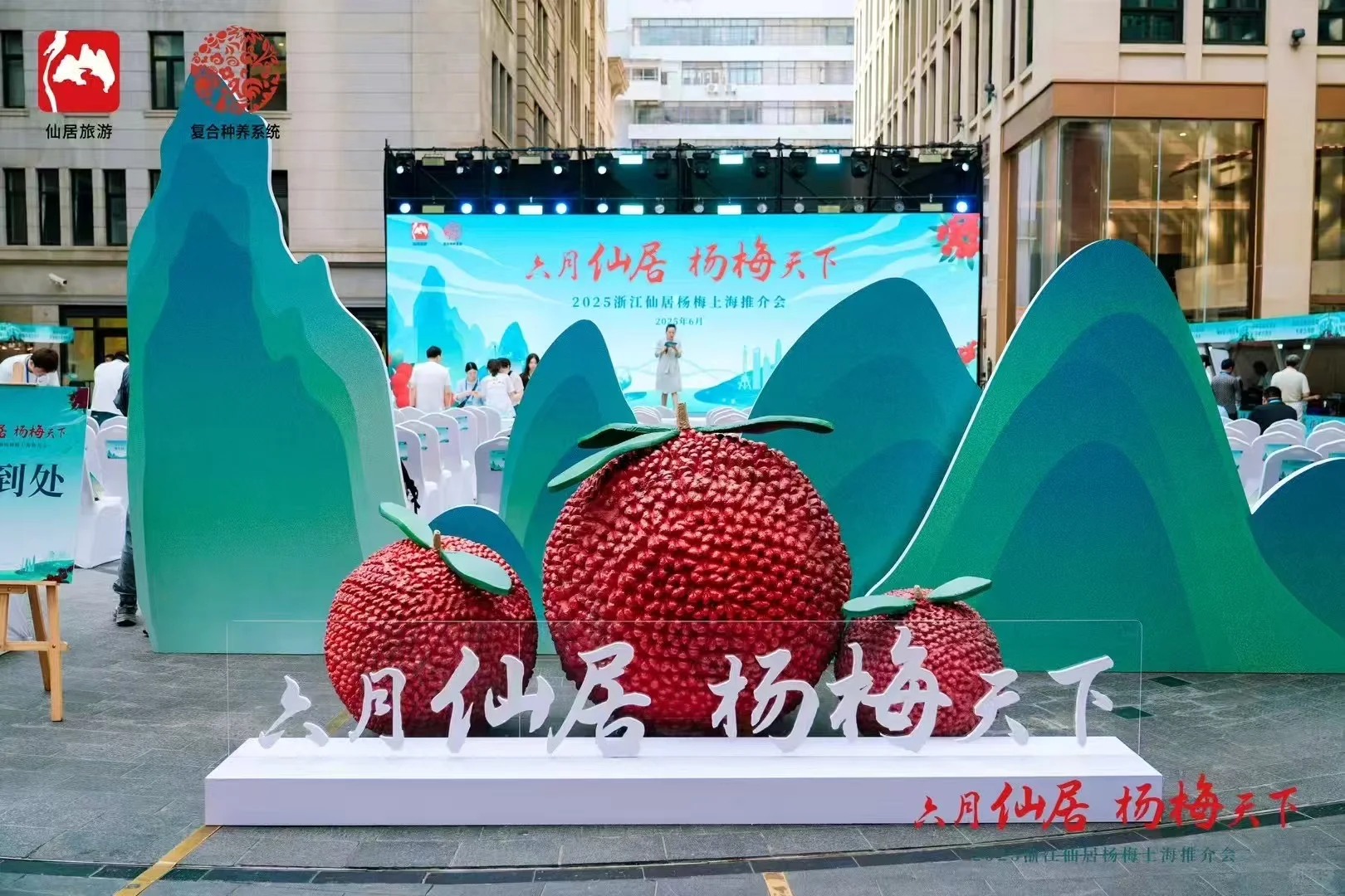 仙居杨梅登录上海推介会