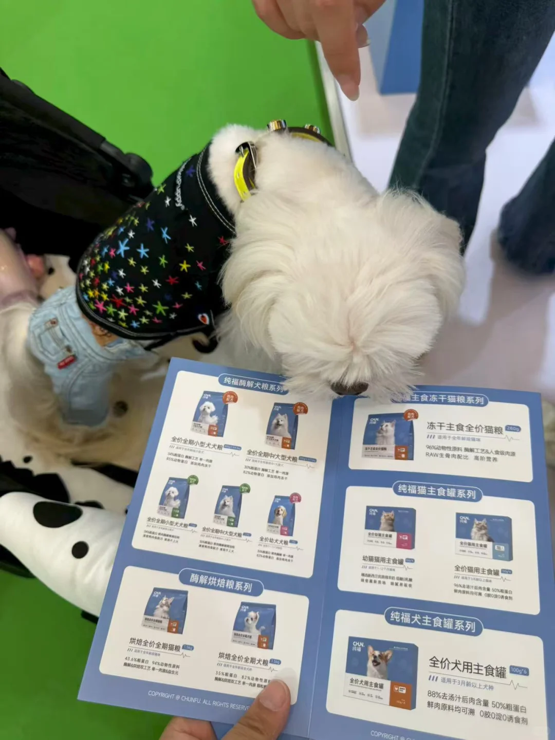 第一次去亚宠展，感觉宠物市场没救了