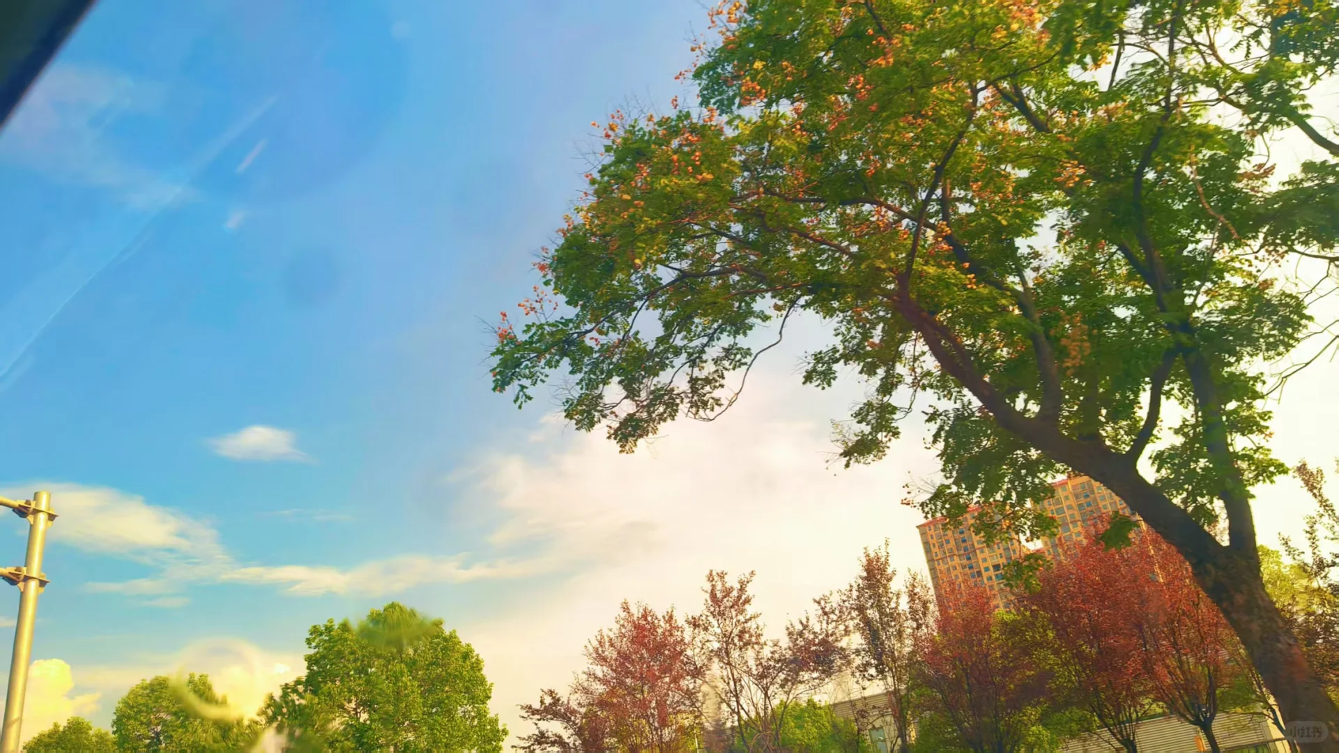 重回职场你会选会计还是选采购