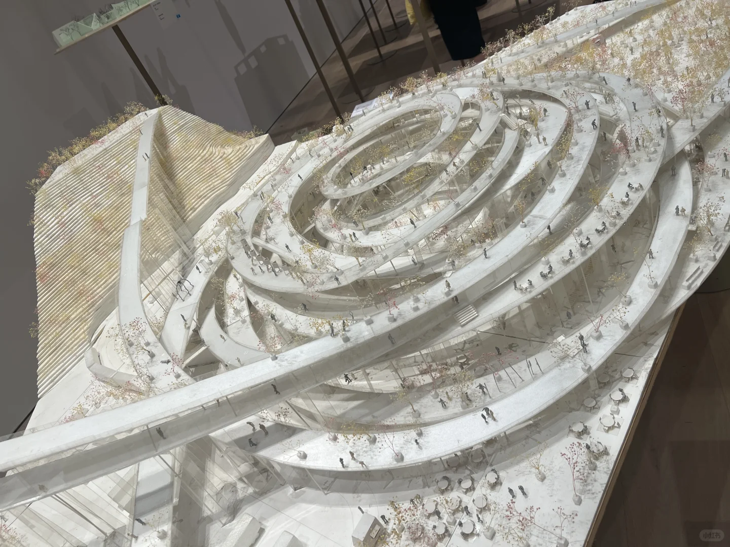 ??东京看展｜藤本壮介の建筑展